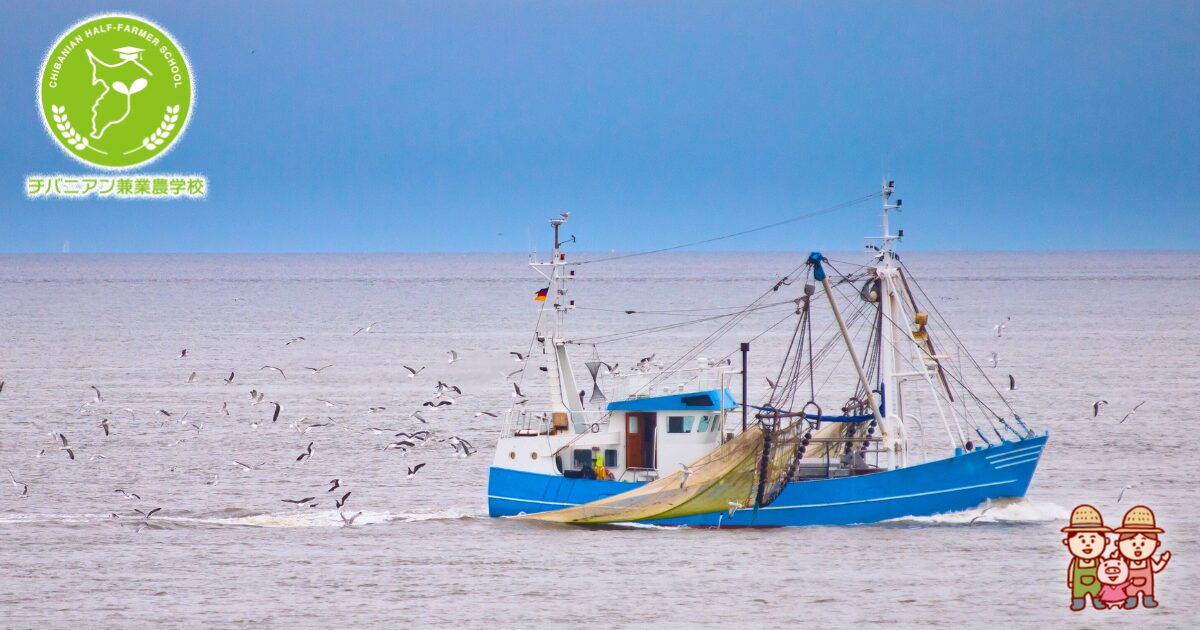 漁師はなぜ、海を向いて住むのか? : 漁村・集住・海廊 Amazon.co.jp: 漁師はなぜ、海を向いて住むのか? : 漁村集住海廊