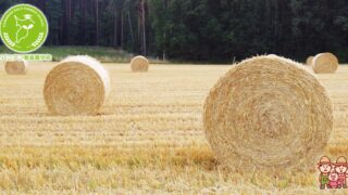 牧草ロールの重さを知り尽くす