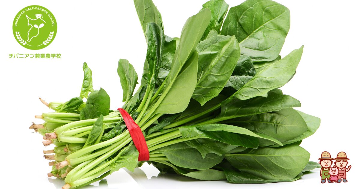 植物発芽 栽培 家庭菜園 農家 栄養素メーター 野菜 葉野菜 果物 【公式