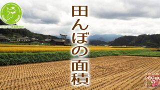田んぼの面積を表す単位：町・反・畝・歩