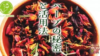 アロマテラピー精油事典｜成美堂出版 【真性】【天然】アロマ精油30種