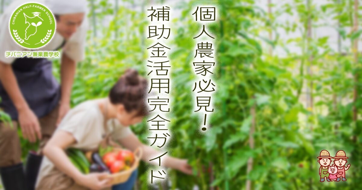 個人農家必見！補助金活用完全ガイド 