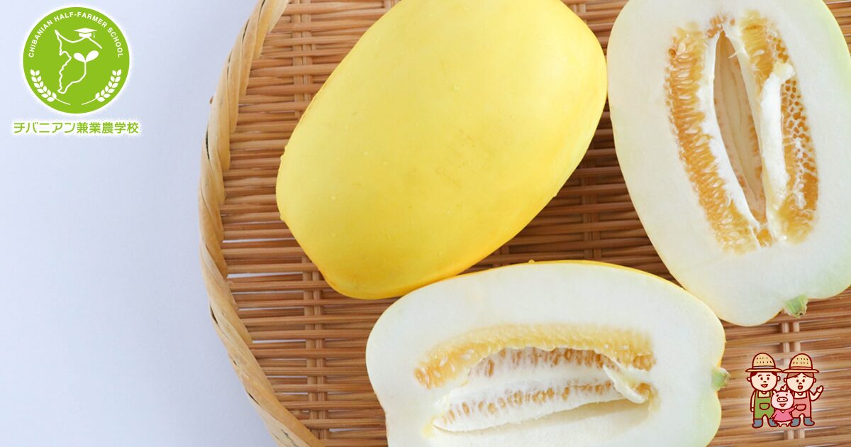 マクワウリメロンの魅力と美味しい食べ方