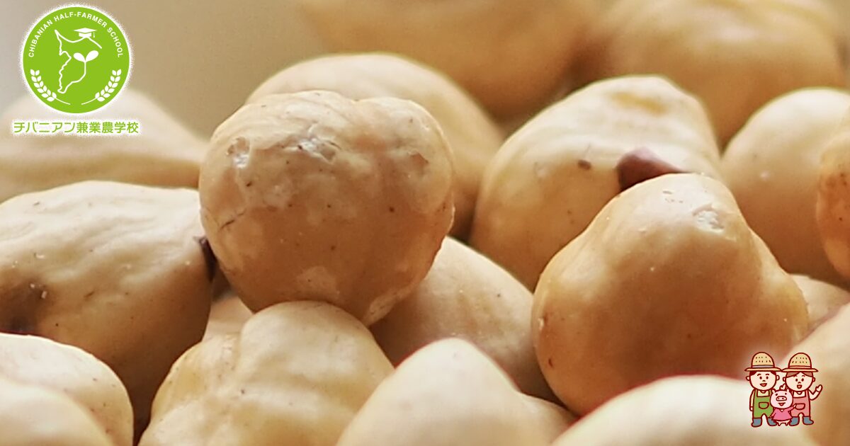 ヘーゼルナッツ粗放栽培のメリットとは？省力管理のポイント