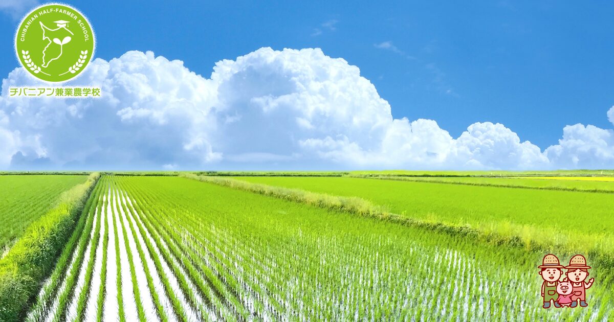 初心者必見！育苗器を使った稲作の基本とは？