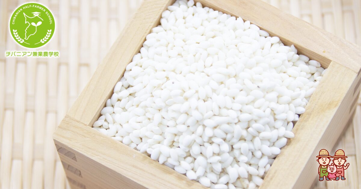 もち米とうるち米の違い完全ガイド